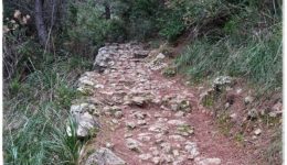 ruta-de-la-pedra-en-sec-2